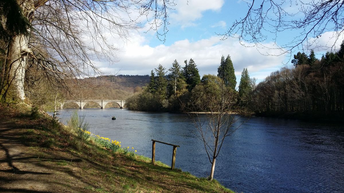 River Tay and Dunkeld Bridge